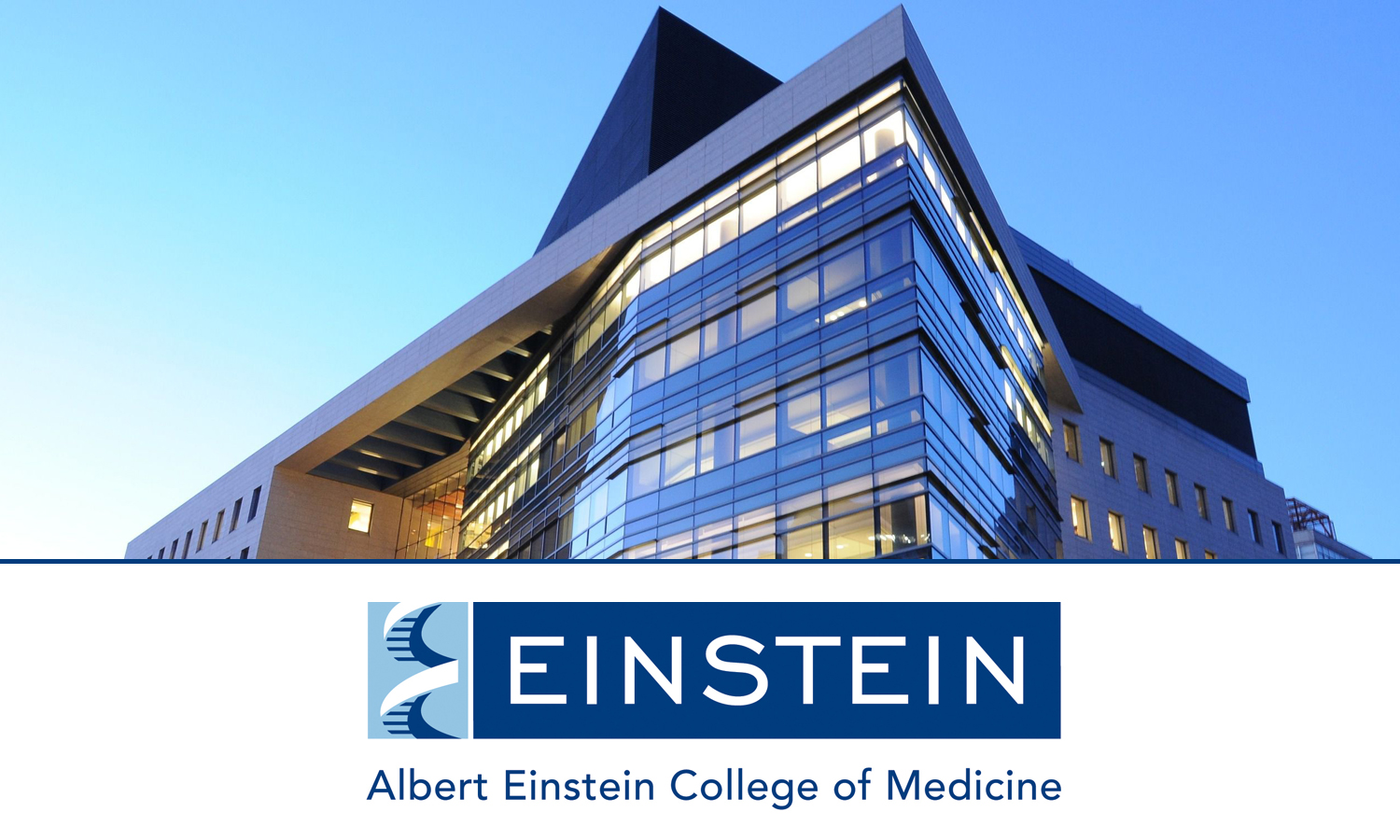 Albert Einstein College Of Medicine Working With JobElephant