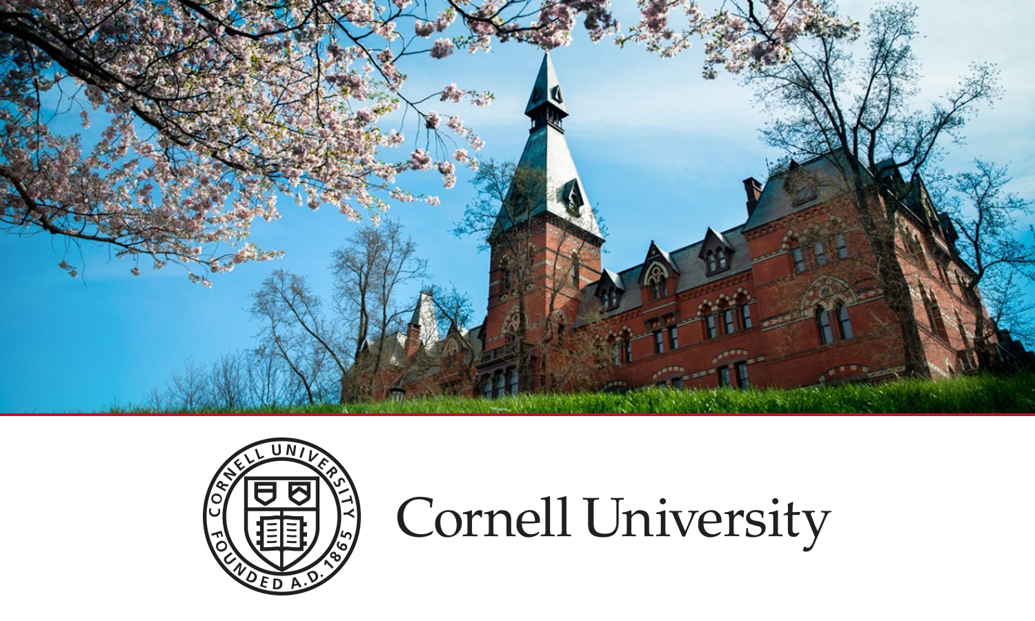 Cornell University Jobelephant